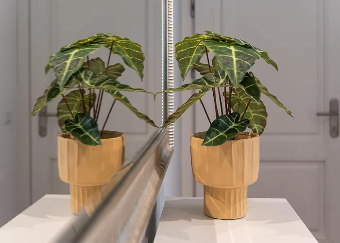 Benville - Grosser Garten - Modern -wlan * Δρέσδη