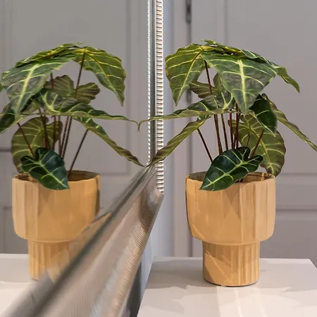 Benville - Grosser Garten - Modern -wlan * Dresde